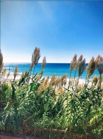 Conil Vistas Al Mar Del Roqueo, Fuente Del Gallo Conil De La Frontera Exteriér fotografie